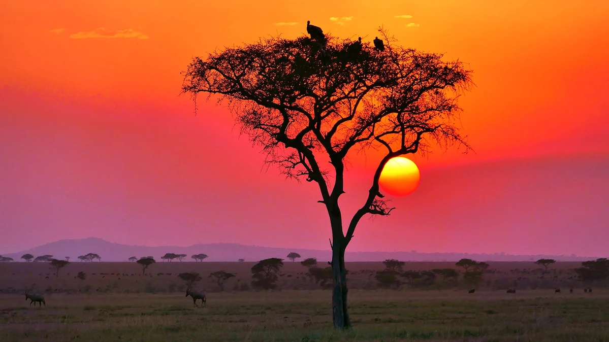 tour-tanzania-sunset