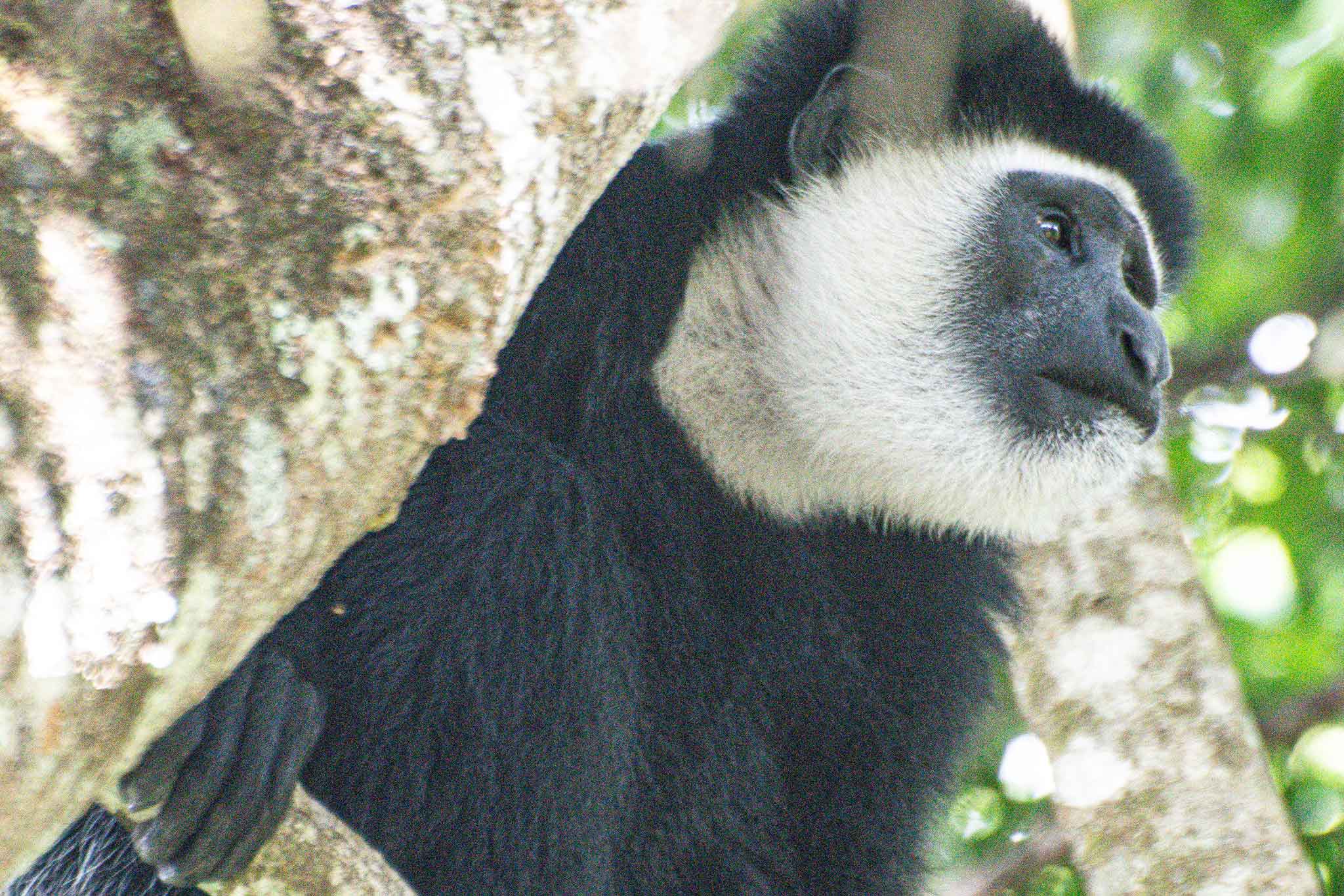 Arusha National Park