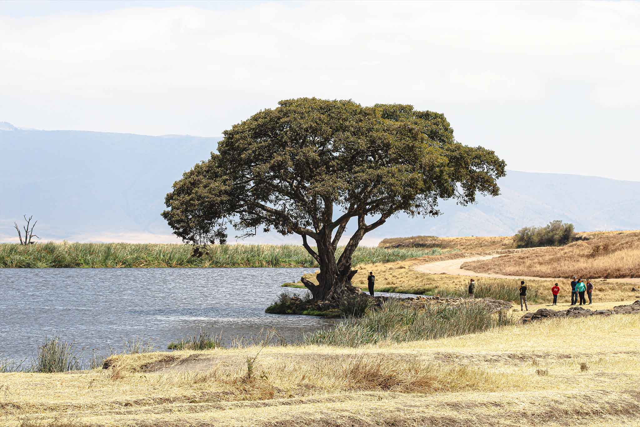 Ngoitoktok