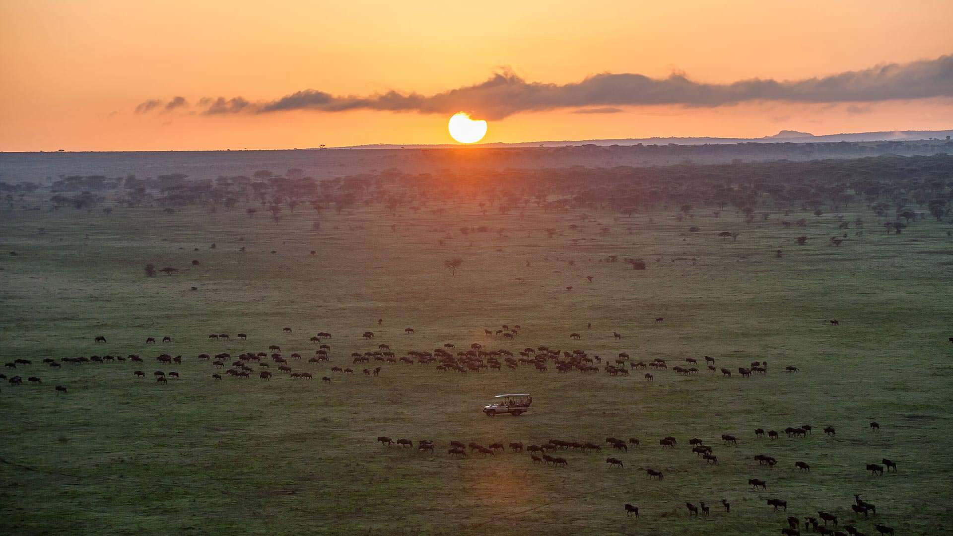 Maswa Game Reserve