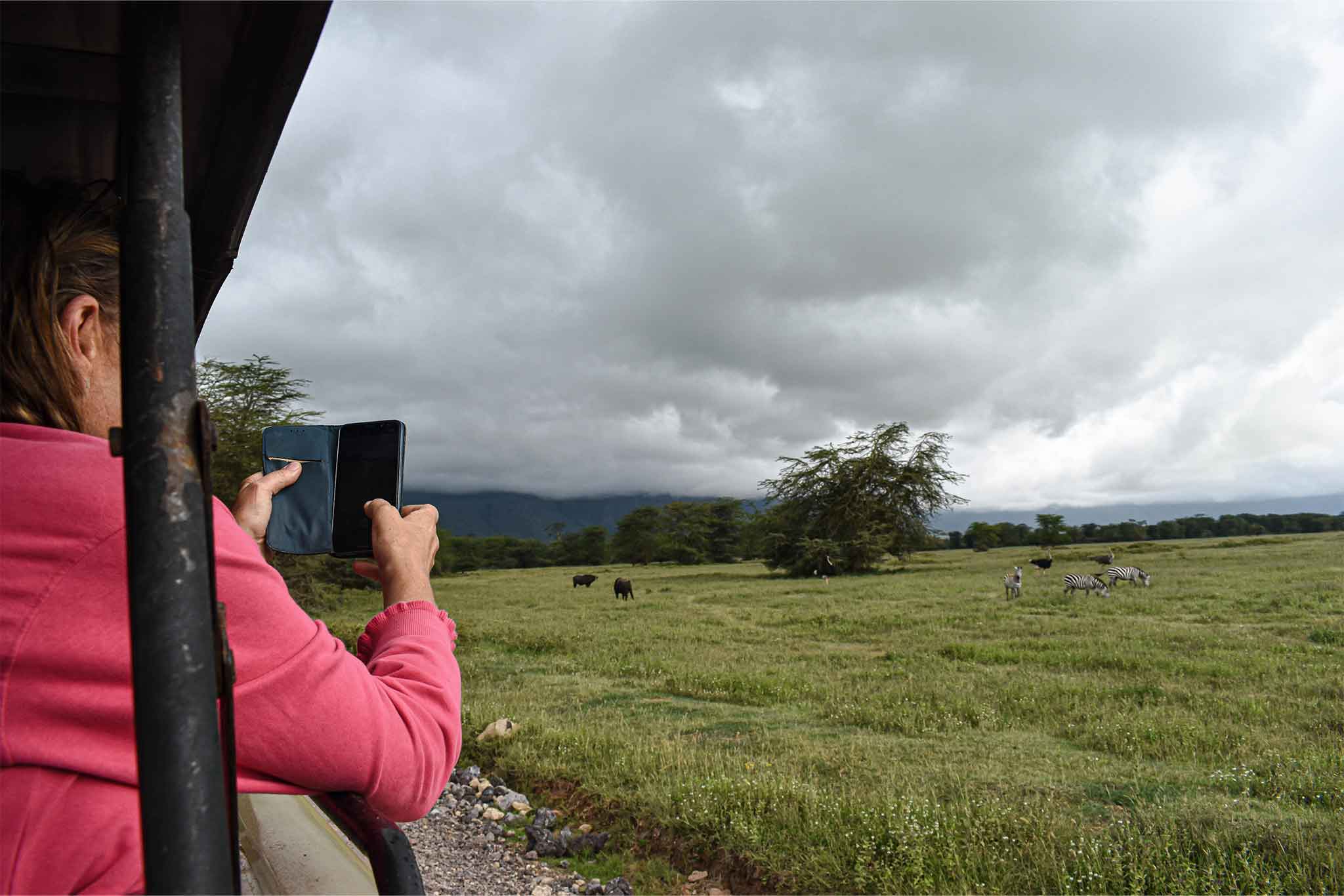 Ngorongoro
