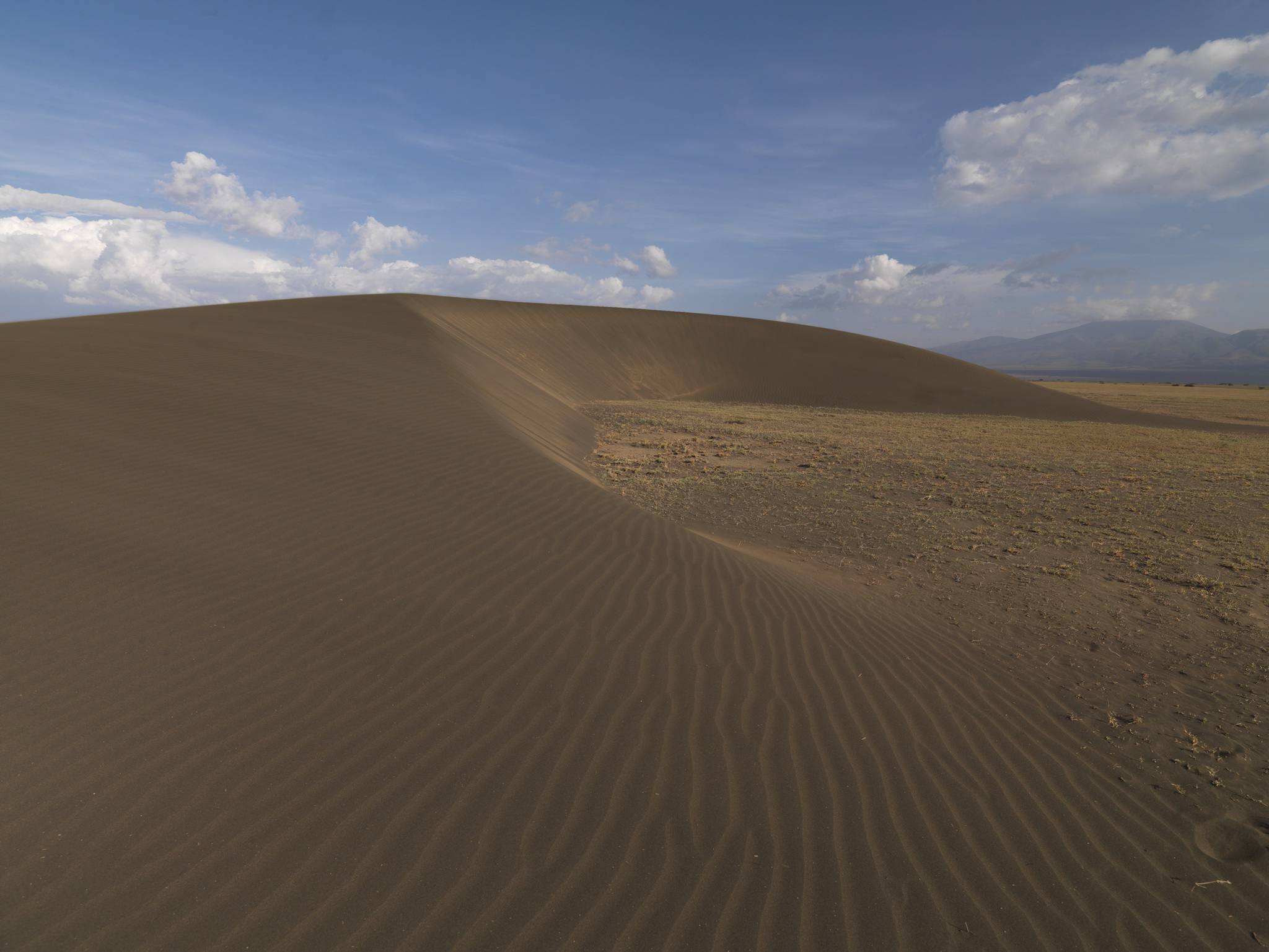 Shifting Sand