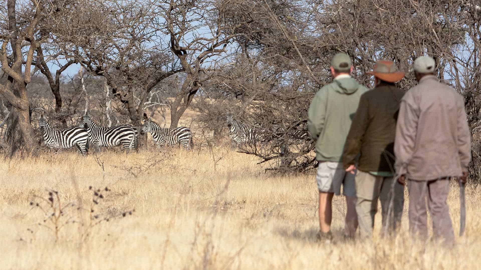 Maswa Game Reserve