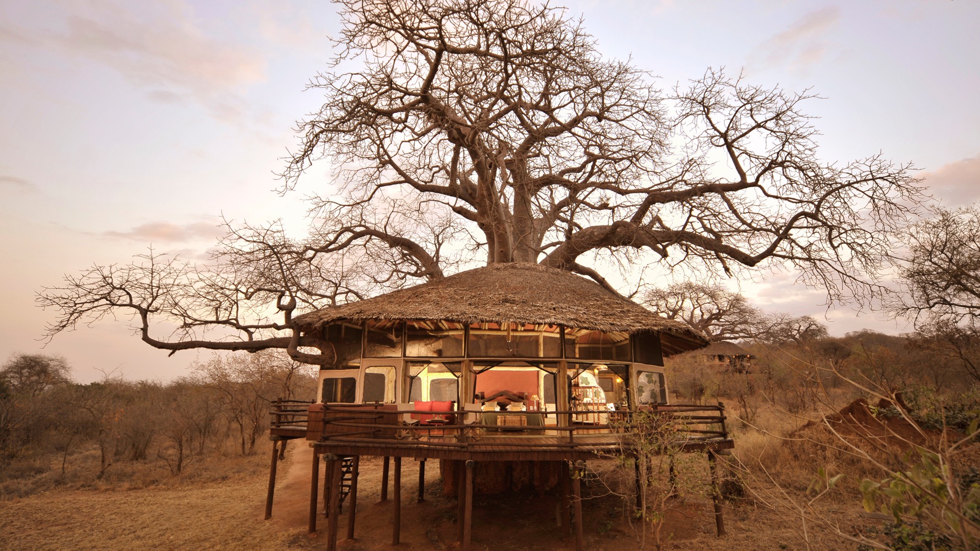 Tarangire Treetops