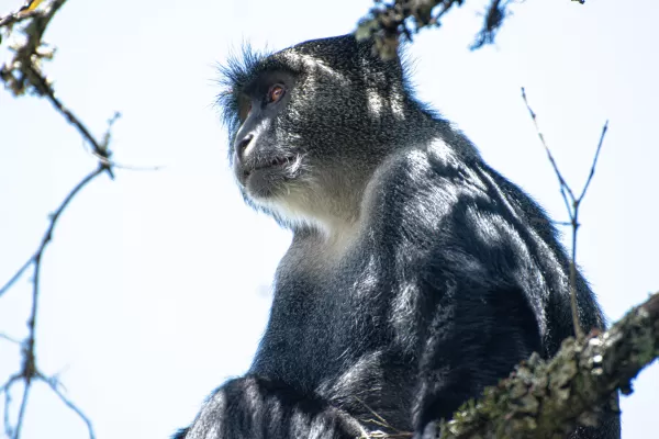 Arusha National Park